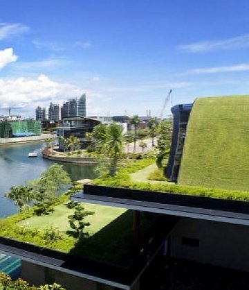 Снимки: home-reviews