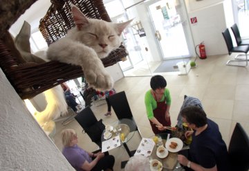 Снимка: Reuters
