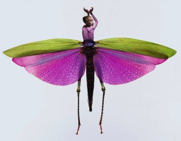 Снимка: mymodernmet.com