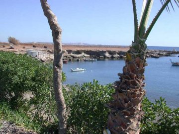 Снимка: cypruspictures.net