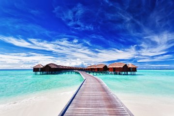 Снимка: Dreamstime