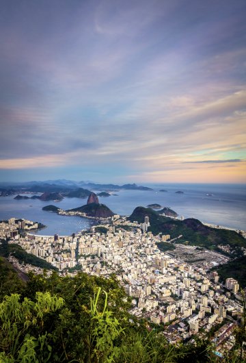 Снимка: Thinkstock