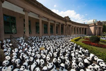 Снимка: pandasworldtour.tw