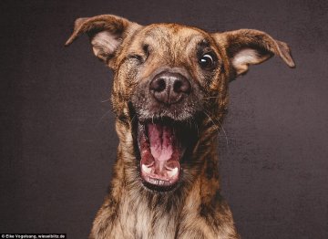 Снимка: Elke Vogelsang