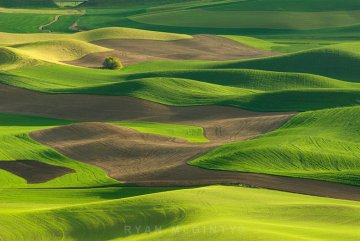 Снимка: luminous-landscape.com