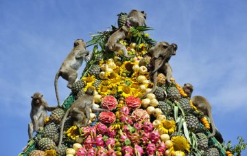 Снимка: festivals-holidays.com