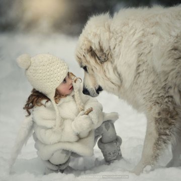 Снимка: Viktoria Haack