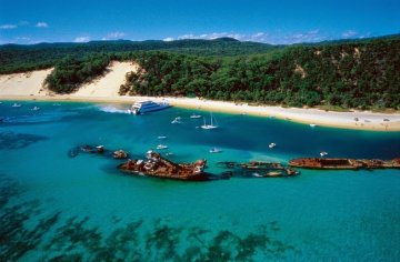 Снимка: divegirls.com.au