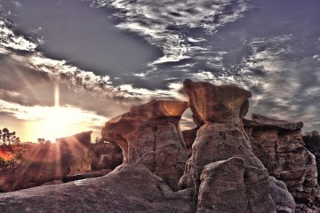 Снимка: markflowerphotography.com