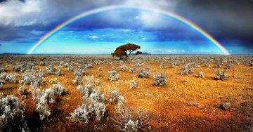 Снимка:Dreamstime