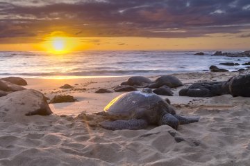 Снимка: Thinkstock