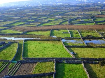Снимка: aerarannislands.ie