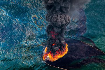 Снимка: Overdevelopment, Overpopulation, Overshoot