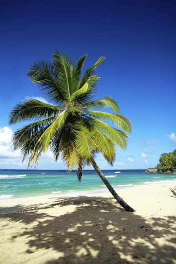 Снимка: Thinkstock