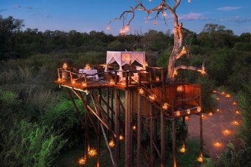 Снимка: Lion Sands Game Reserve