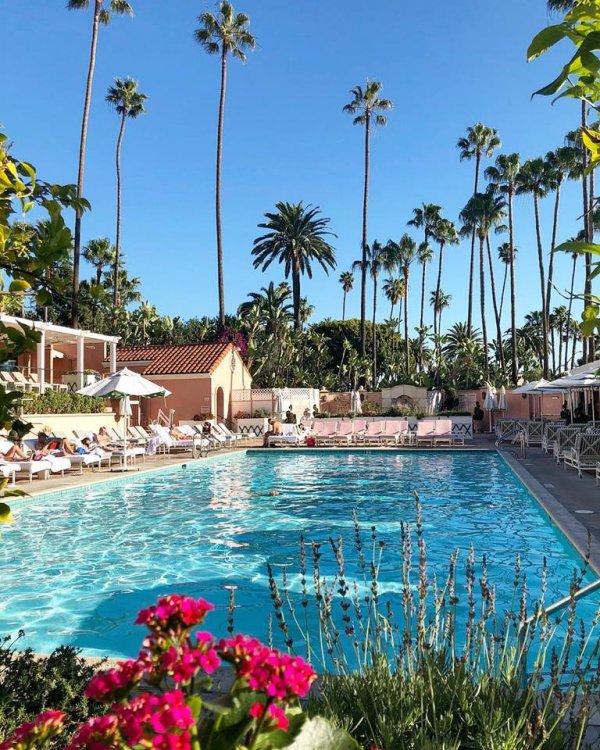 The Beverly Hills Hotel. Лос Анджелис, КалифорнияСредна цена за стая: $ 895.Средна цена за апартамент: $2600. Снимка: Facebook
