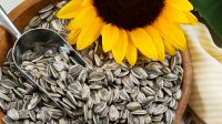 Слънчогледови семки – 7 впечатляващи ползи за здравето