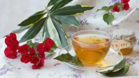 Здраве и красота – 5 причини да пием чай от дафинов лист