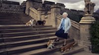 Погребението на кралица Елизабет: Коргитата и любимото ѝ пони я чакаха в двореца