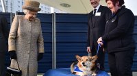 Кралица Елизабет е жива и изпраща послания чрез своите кралски сладки коргита 