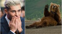 Критикуват Зак Ефрон заради снимки с мечка 