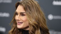 22 години щастие за Брук Шийлдс и Крис Хенчи 