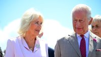 Какво мисли кралица Камила за отношенията между крал Чарлз и принц Хари