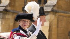 Принцеса Ан е в болница със сътресение след инцидент в дома си