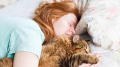 В едно легло с котката – полезно ли е? 