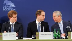 Призоваха принц Хари да се помири с Чарлз III и принц Уилям