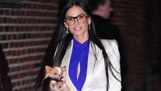 Честит рожден ден на Деми Мур – как звездата изглежда великолепно на 63 години