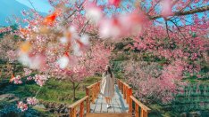 Хороскоп за седмицата – какво ви очаква? 