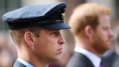 Защо принцовете Хари и Уилям няма да наследят дома, в който е израснала принцеса Даяна