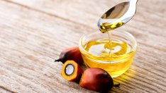 Палмово масло - всичко, което трябва да знаете за него и вредно ли е за вас