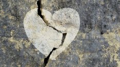 Венци Венц се развежда 