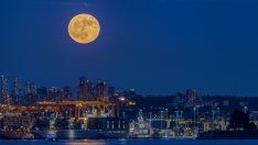 Как ще се отрази пълнолунието през ноември на всяка зодия?