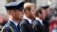 Галерия във Великобритания премахна портрет на Уилям и Хари