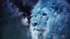 Хороскоп: Каква ще бъде 2022 г. за зодия Лъв?