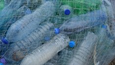 Ориз за смет