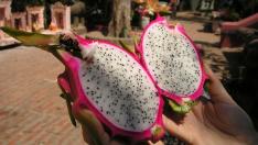 Драконов плод – екзотичният кактус, който да опитате този сезон