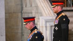 Принц Уилям и принц Хари отказаха да общуват на коронацията на Чарлз III