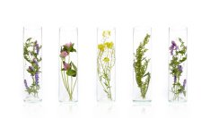 Как да удължите трайността на парфюма си