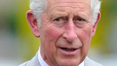 Принцовете Уилям и Хари – уплашени за здравето на баща си