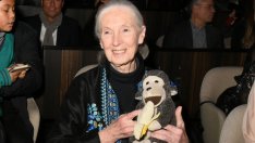 Джейн Гудол – неуморимият защитник на природата – почина на 91 години