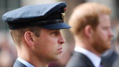 Срещата ще е кратка: За какво ще си говорят принц Уилям и принц Хари?