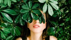 Пресаждане на цветята за пролетния сезон – какво да направите?