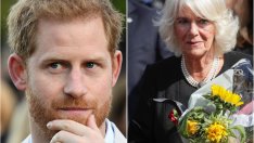 Кралски биограф: Хари се отнасяше зле с Камила 