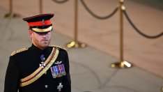 Принц Хари едва ли ще е отново член на кралското семейство на пълен работен ден