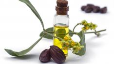 Масло от жожоба – задължителна съставка в рутинната грижа за кожата тази зима