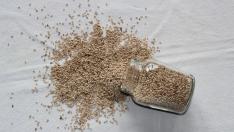 Ленено семе – 5 доказани ползи от приема му и как да го включите в менюто си